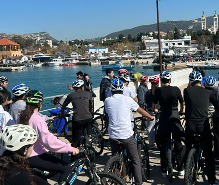 bikes